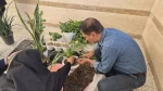 همدلی سبز دانشگاهیان دانشگاه ملی مهارت واحد استانی قم به مناسبت روز ملی گل و گیاه
 3