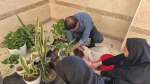 همدلی سبز دانشگاهیان دانشگاه ملی مهارت واحد استانی قم به مناسبت روز ملی گل و گیاه
 5
