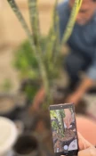 همدلی سبز دانشگاهیان دانشگاه ملی مهارت واحد استانی قم به مناسبت روز ملی گل و گیاه
 7