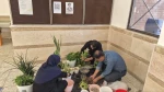 همدلی سبز دانشگاهیان دانشگاه ملی مهارت واحد استانی قم به مناسبت روز ملی گل و گیاه
 9