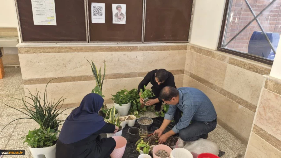 همدلی سبز دانشگاهیان دانشگاه ملی مهارت واحد استانی قم به مناسبت روز ملی گل و گیاه
 9
